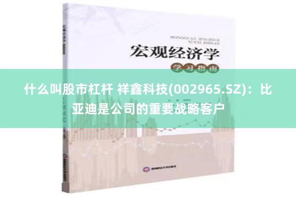 什么叫股市杠杆 祥鑫科技(002965.SZ)：比亚迪是公司的重要战略客户