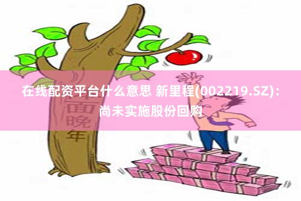 在线配资平台什么意思 新里程(002219.SZ)：尚未实施股份回购