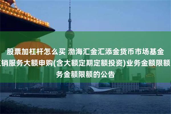 股票加杠杆怎么买 渤海汇金汇添金货币市场基金调整直销服务大额申购(含大额定期定额投资)业务金额限额的公告