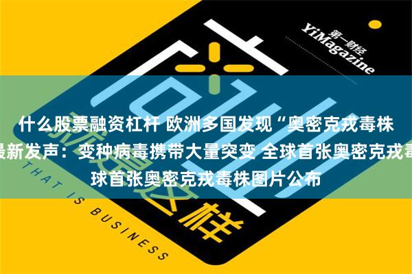 什么股票融资杠杆 欧洲多国发现“奥密克戎毒株”！钟南山最新发声：变种病毒携带大量突变 全球首张奥密克戎毒株图片公布